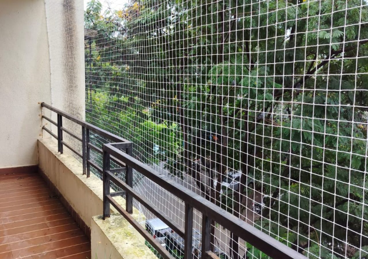 IMG-20251219-WA0024 (1)