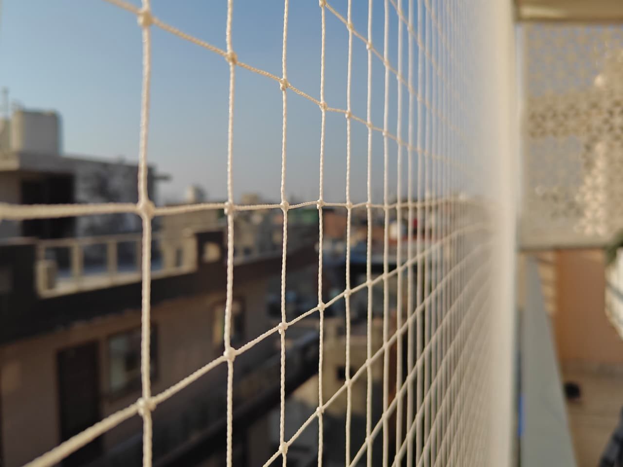 WhatsApp Image 2026-01-13 at 8.34.01 PM